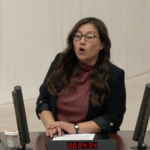 Turkish MP raises allegations of strip-search of 16-year-old arrested over social media post