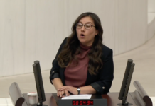 Turkish MP raises allegations of strip-search of 16-year-old arrested over social media post