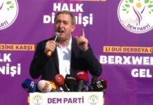 Pro-Kurdish party leader says jailed PKK founder’s freedom inseparable from peace efforts