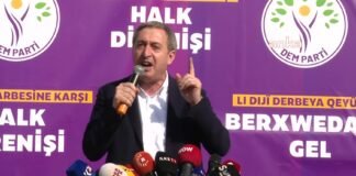 Pro-Kurdish party leader says jailed PKK founder’s freedom inseparable from peace efforts