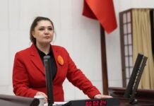 Lawmaker asks ministers about possible Epstein links to Turkey’s missing children