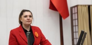 Lawmaker asks ministers about possible Epstein links to Turkey’s missing children