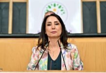 Pro-Kurdish party calls for ‘peace law,’ end to trustees after PKK’s laying down of arms