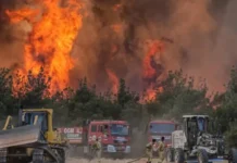 Turkey blocks probe into officials for alleged negligence in 2025 wildfire that killed 10