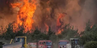 Turkey blocks probe into officials for alleged negligence in 2025 wildfire that killed 10