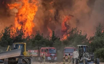 Turkey blocks probe into officials for alleged negligence in 2025 wildfire that killed 10