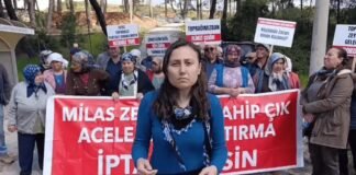 Turkish environmental activist faces up to 6-years in prison over coal mine protest