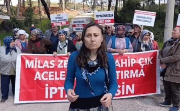 Turkish environmental activist faces up to 6-years in prison over coal mine protest