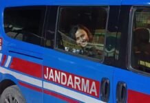 Turkey jails activist protesting land survey for coal mine project in Muğla