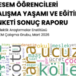 Nearly half of students in Turkey’s MESEM program report accidents, overwork