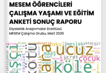 Nearly half of students in Turkey’s MESEM program report accidents, overwork