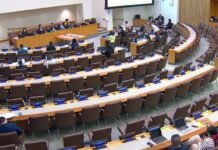 Turkey among repressive states poised to control UN NGO access, rights advocates warn