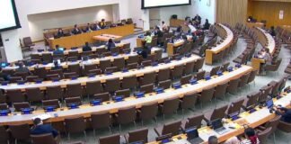 Turkey among repressive states poised to control UN NGO access, rights advocates warn