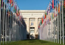UN rapporteurs accuse Turkey of harassing LGBTI+ group through legal action