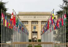 UN rapporteurs raise concerns over Turkey’s use of terrorism laws against rights defenders