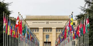 UN rapporteurs raise concerns over Turkey’s use of terrorism laws against rights defenders