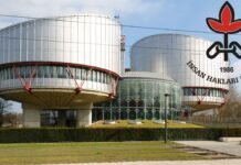 Rights group urges Turkey to revise Article 314, review terrorism convictions after ECtHR ruling