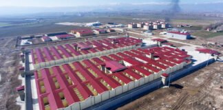 3 in 4 rights complaints to Turkish Parliament come from prison inmates, official figures show