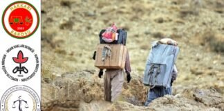 Iranian men allege torture, rape in Turkish custody