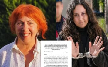 UN rapporteurs raise concern over prosecution, legal pressure on female environmental defenders in Turkey