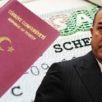 Turkish minister confirms visa broker complaints after censoring of report on ex-FM-linked VFS network