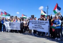 Young activist gets suspended sentence on conviction of insulting Erdoğan