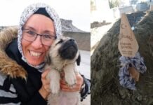 Former teacher dismissed over alleged Gülen links dies of cancer at 45