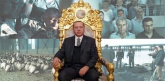 Turkey’s post-coup crackdown, 10 years on: A decade’s legacy