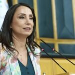 DEM Party co-chair says crackdown on CHP is sabotaging Kurdish peace process