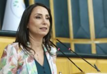 DEM Party co-chair says crackdown on CHP is sabotaging Kurdish peace process