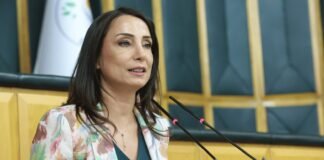 DEM Party co-chair says crackdown on CHP is sabotaging Kurdish peace process