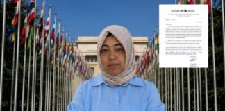 UN torture committee asks Turkey to respond to complaint by woman detained over Gülen links
