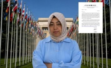 UN torture committee asks Turkey to respond to complaint by woman detained over Gülen links