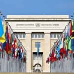 UN rapporteurs raise concerns over judicial harassment of civil society group in Turkey