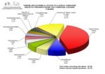 Turkey accounts for 41 percent of pending cases at European human rights court
